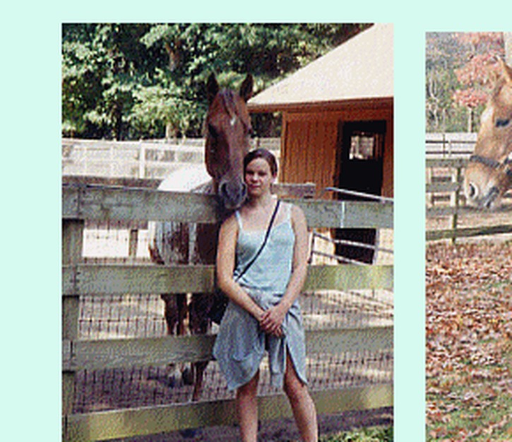 Tricia with a horse at the fence